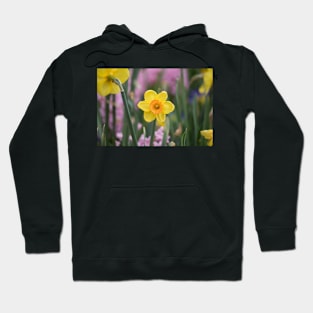 Daffodils and Hyacinth Hoodie